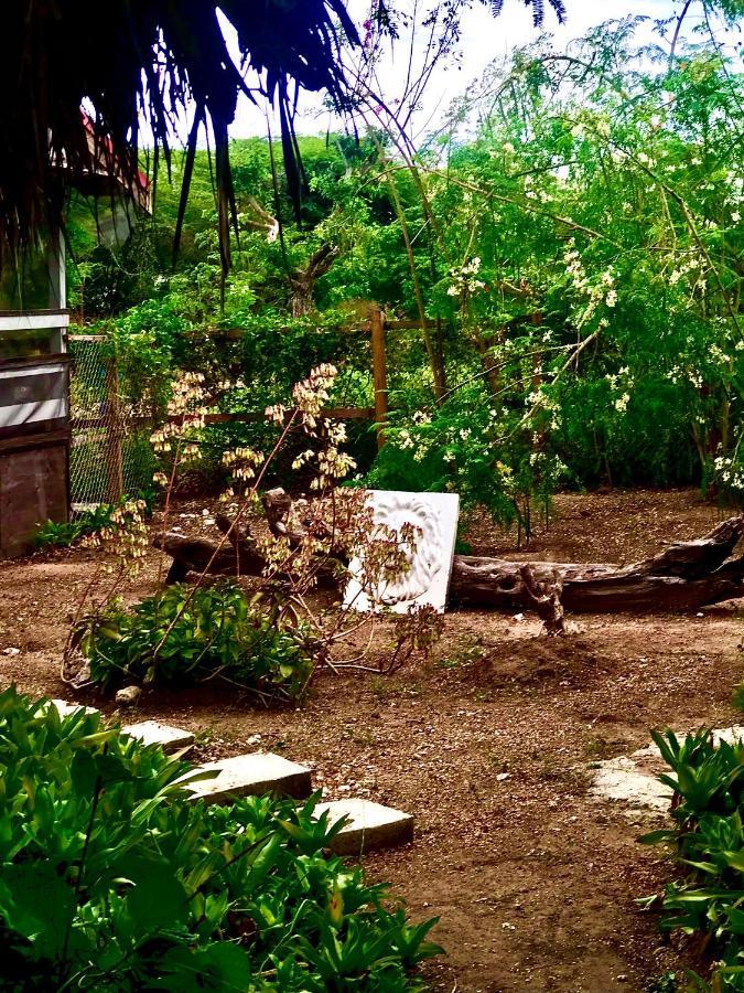 Moringa Ingadi Villa Treasure Beach Ngoại thất bức ảnh
