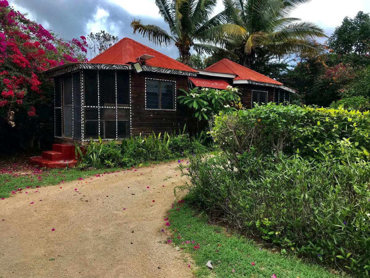 Moringa Ingadi Villa Treasure Beach Ngoại thất bức ảnh